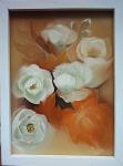 Begonia