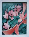 Cyclamen
