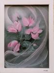 Ciclame roz