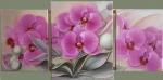 Triptic orhidee roz